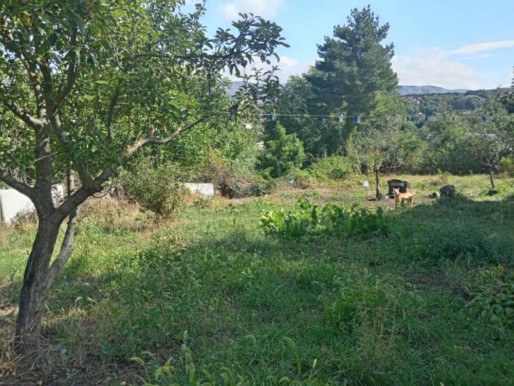 3fc7136c-7d75-4289-9e39-06380a720dfb