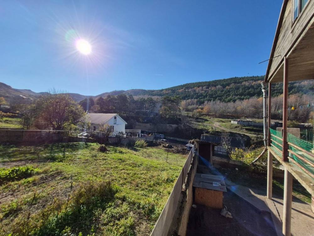 photo_5465474776588554692_y