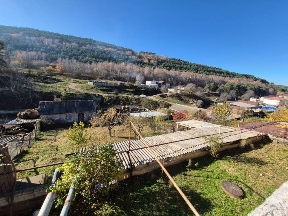 photo_5465474776588554655_y