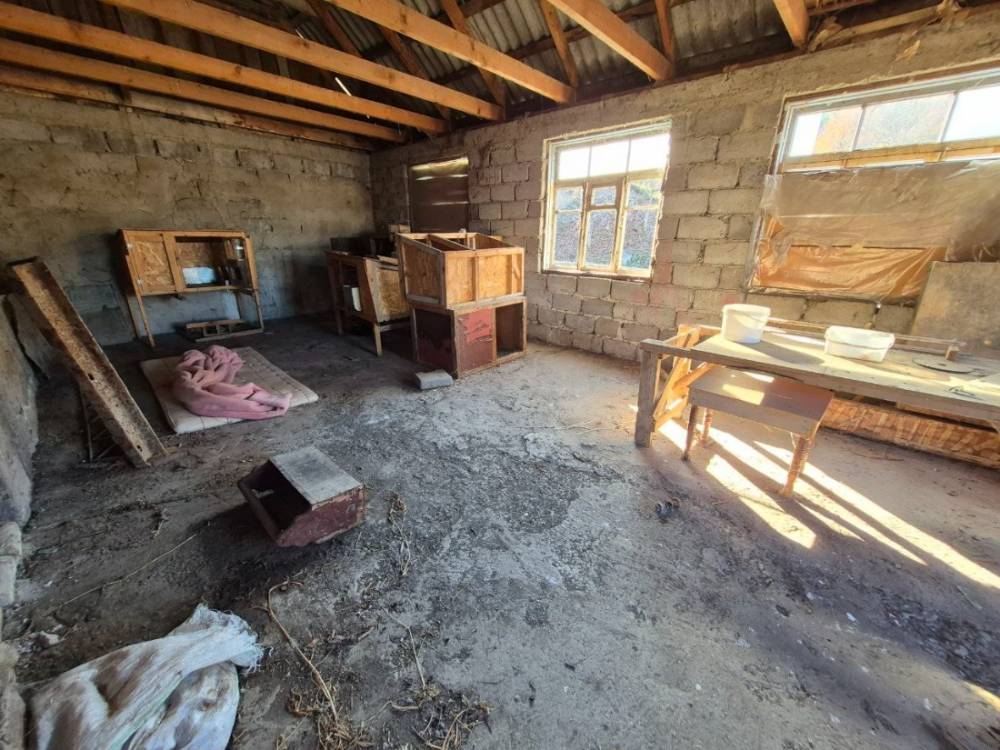 photo_5465474776588554643_y