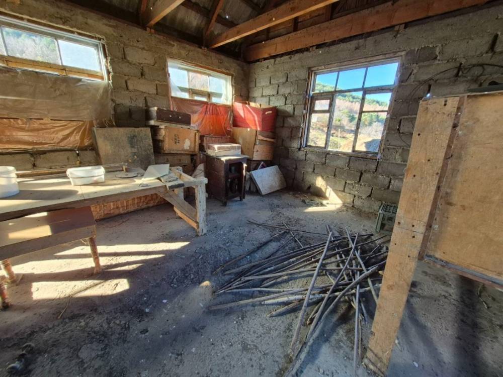 photo_5465474776588554642_y