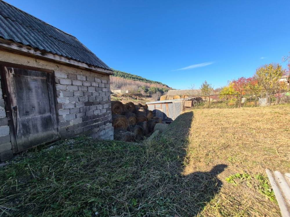 photo_5465474776588554645_y