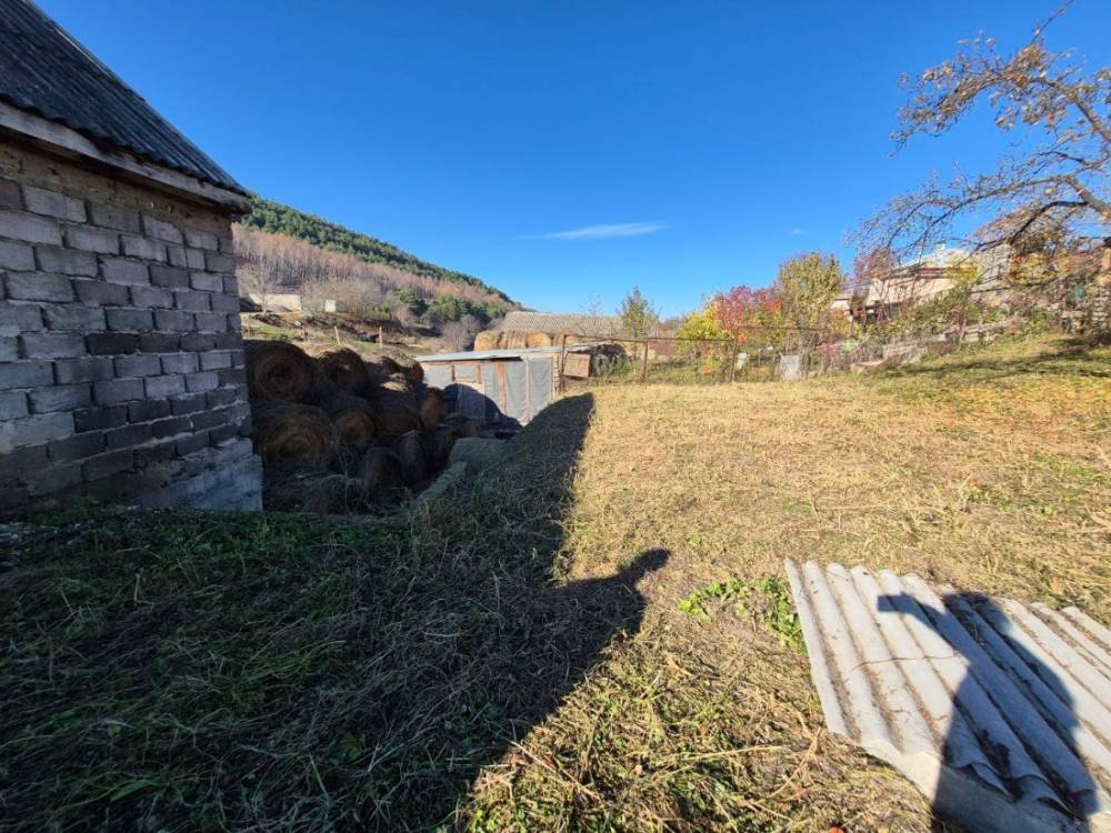 photo_5465474776588554646_y