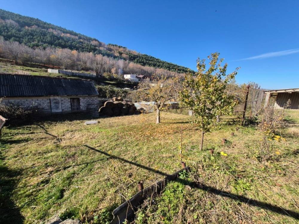 photo_5465474776588554647_y