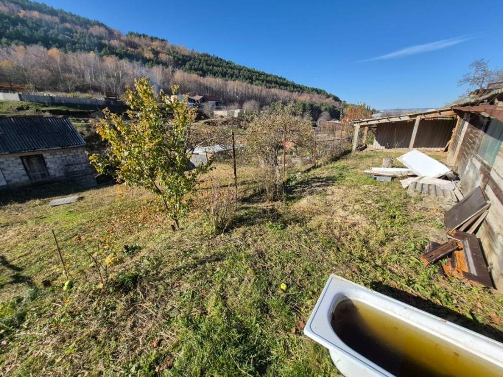 photo_5465474776588554649_y