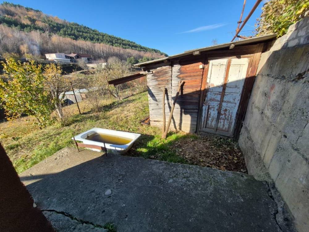 photo_5465474776588554650_y