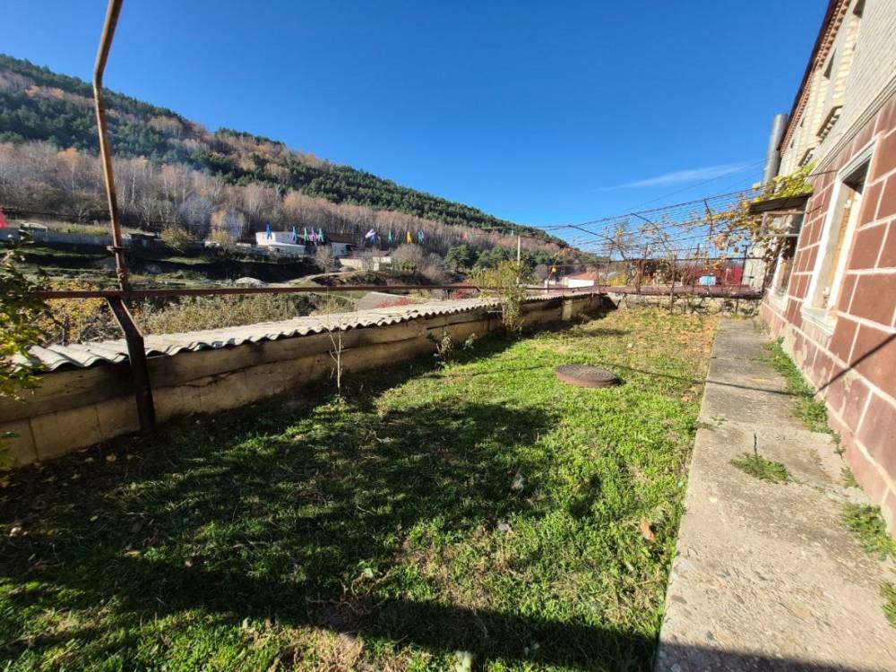 photo_5465474776588554652_y