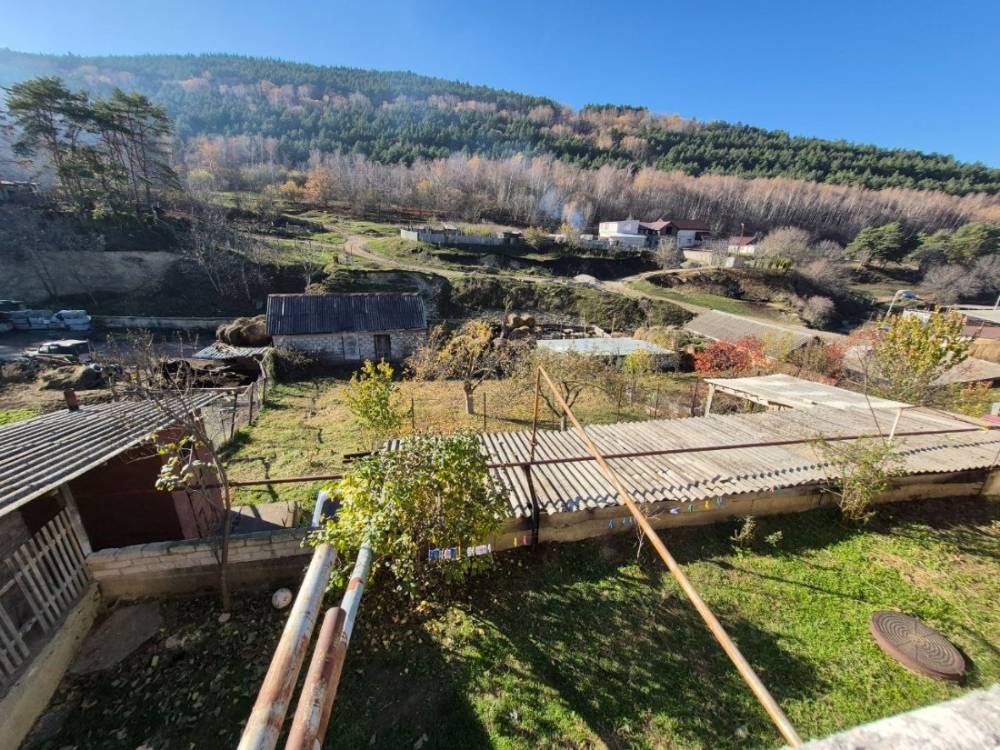 photo_5465474776588554653_y