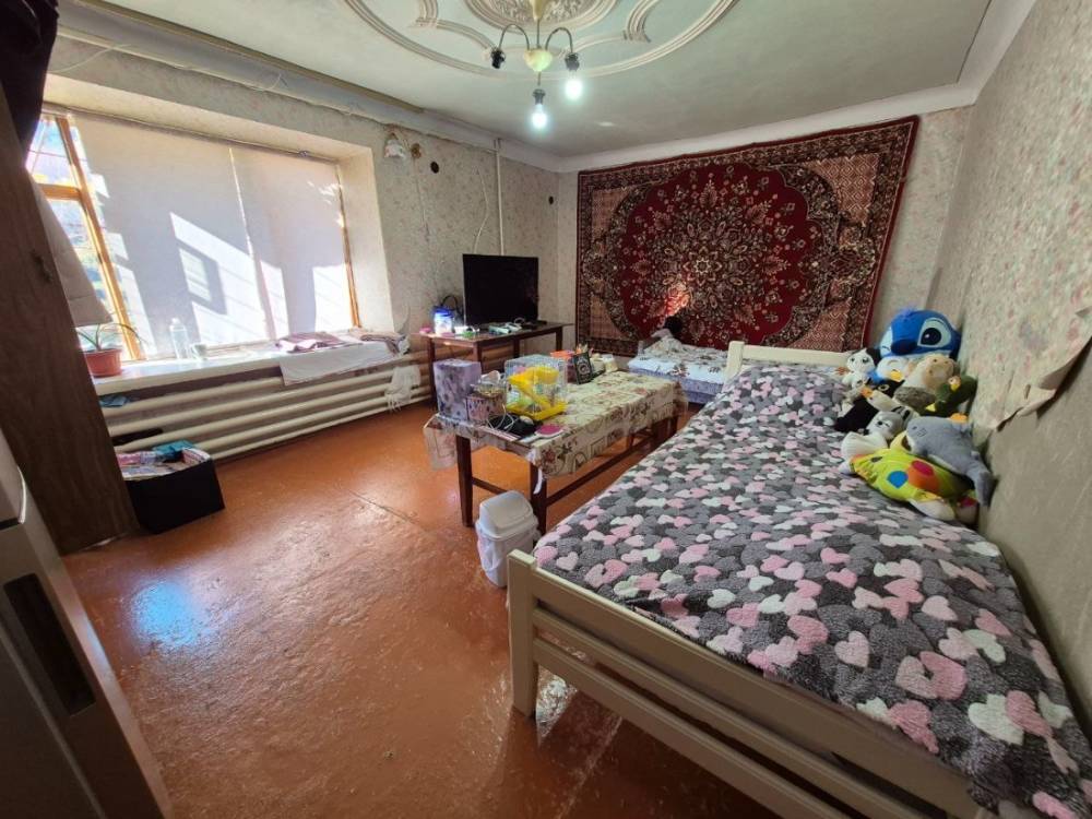 photo_5465474776588554679_y