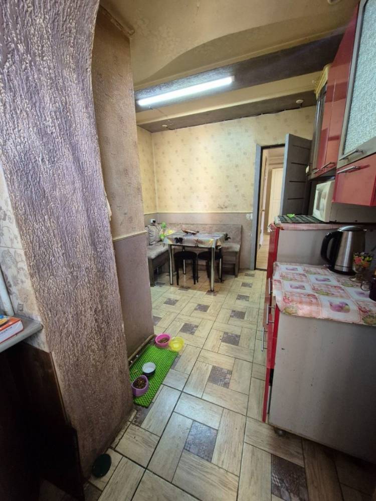 photo_5431487910101323097_y