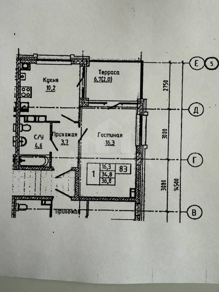 5454231003179191724 (1)