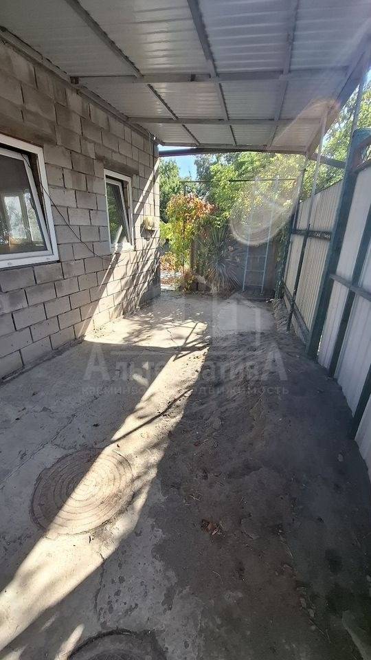 photo_5192712244117049084_y