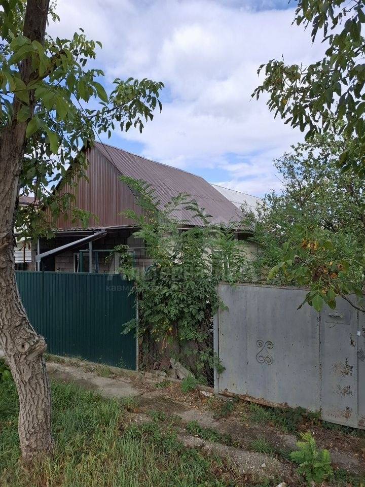 photo_5192712244117049085_y