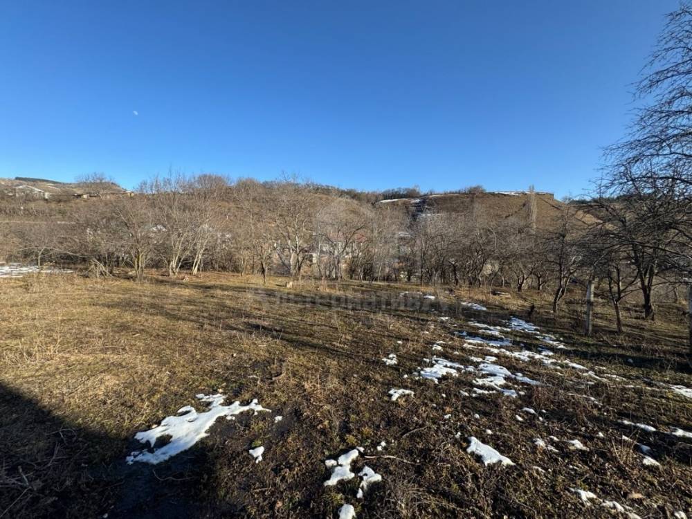 f95cc8b2-f945-4420-b36f-1a0e5cf937a6