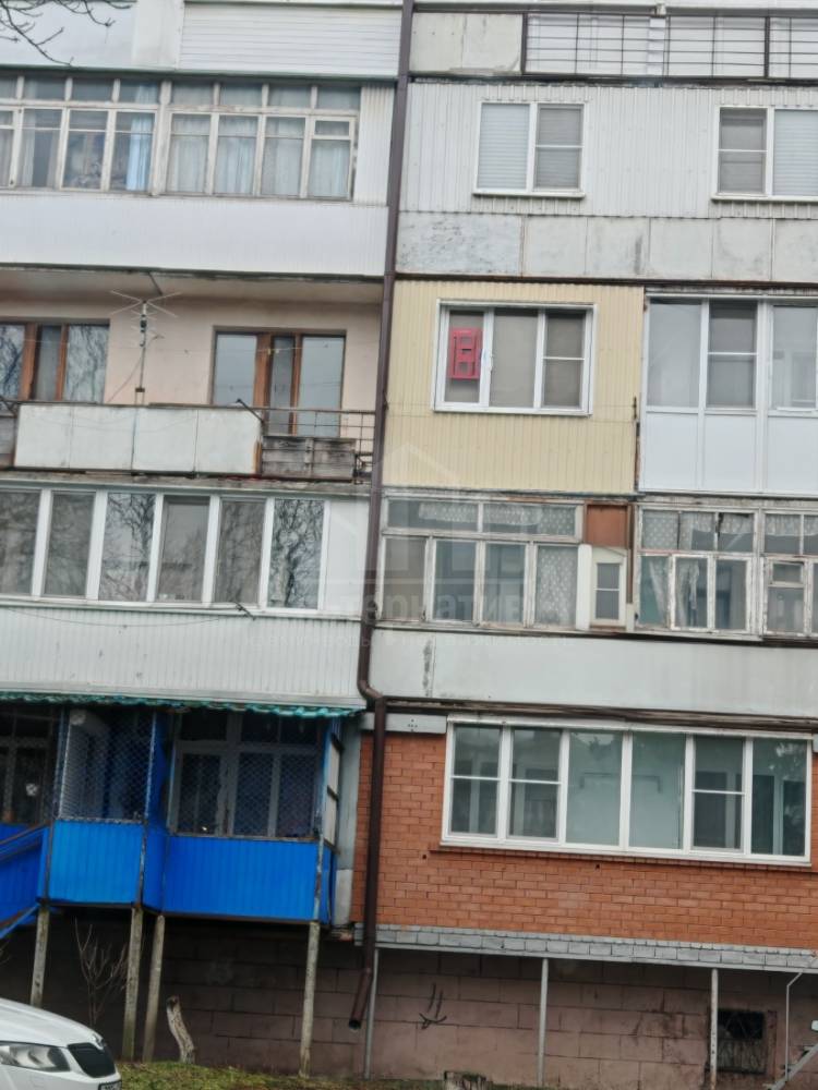 img_20260203_120519_edit_167283047052695