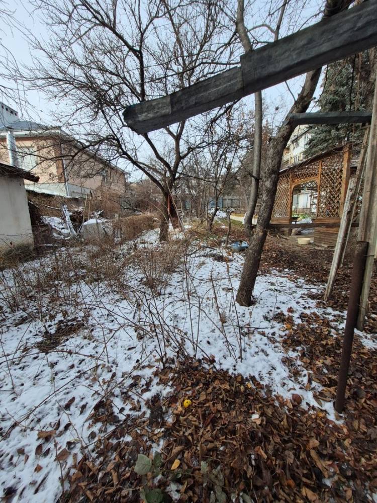 bip image 2026-02-12 pmt 12.28.38