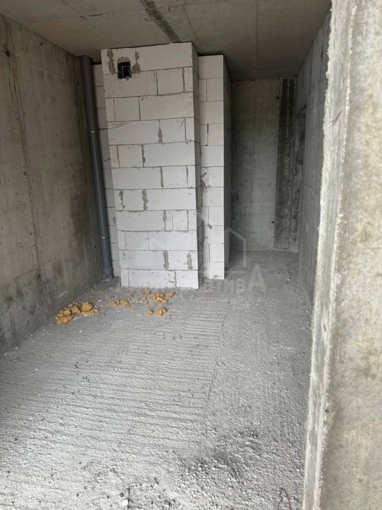 photo_2026-02-06_11-56-14