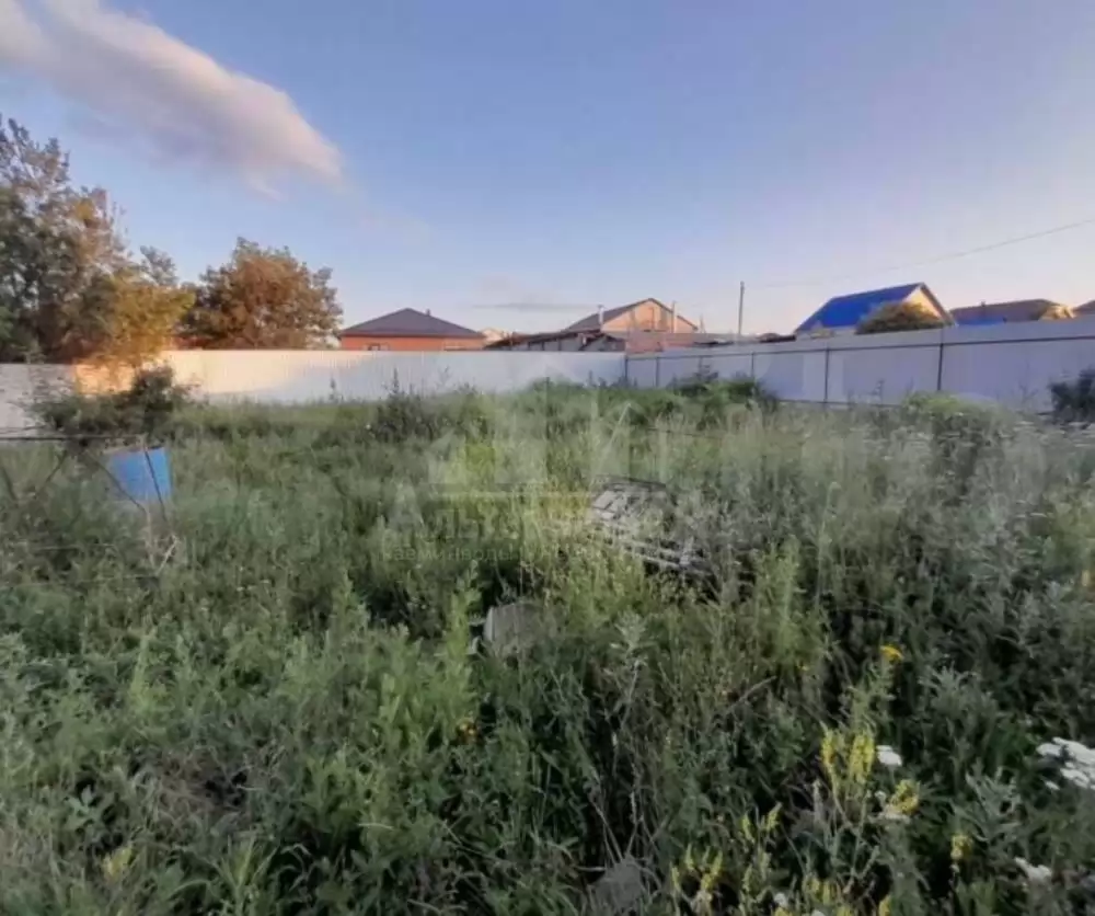 photo_5204411610477301934_y