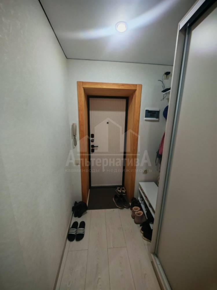 photo_2026-02-12_12-21-51