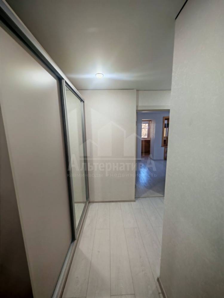 photo_2026-02-12_12-21-49