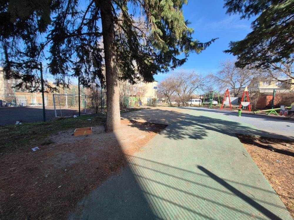 bip image 2026-02-18 pmt 12.03.20