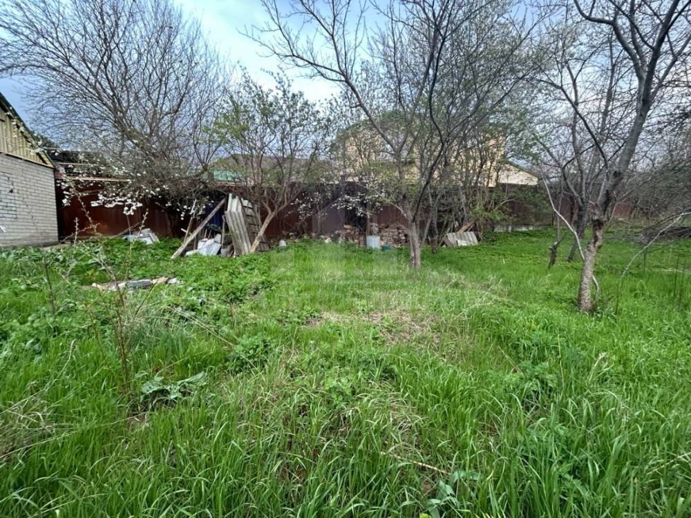 img_20260411_185146_418