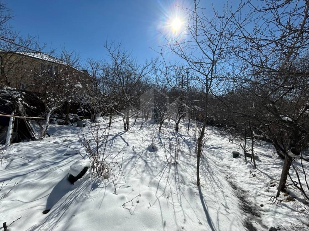 photo_5269463455725458832_y