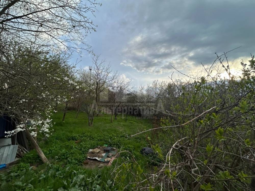 img_20260411_185145_146