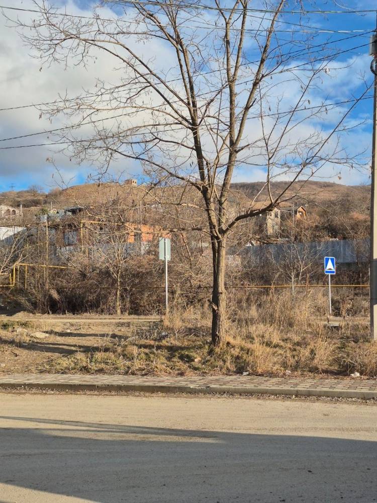 bip image 2026-02-26 amt 11.09.45