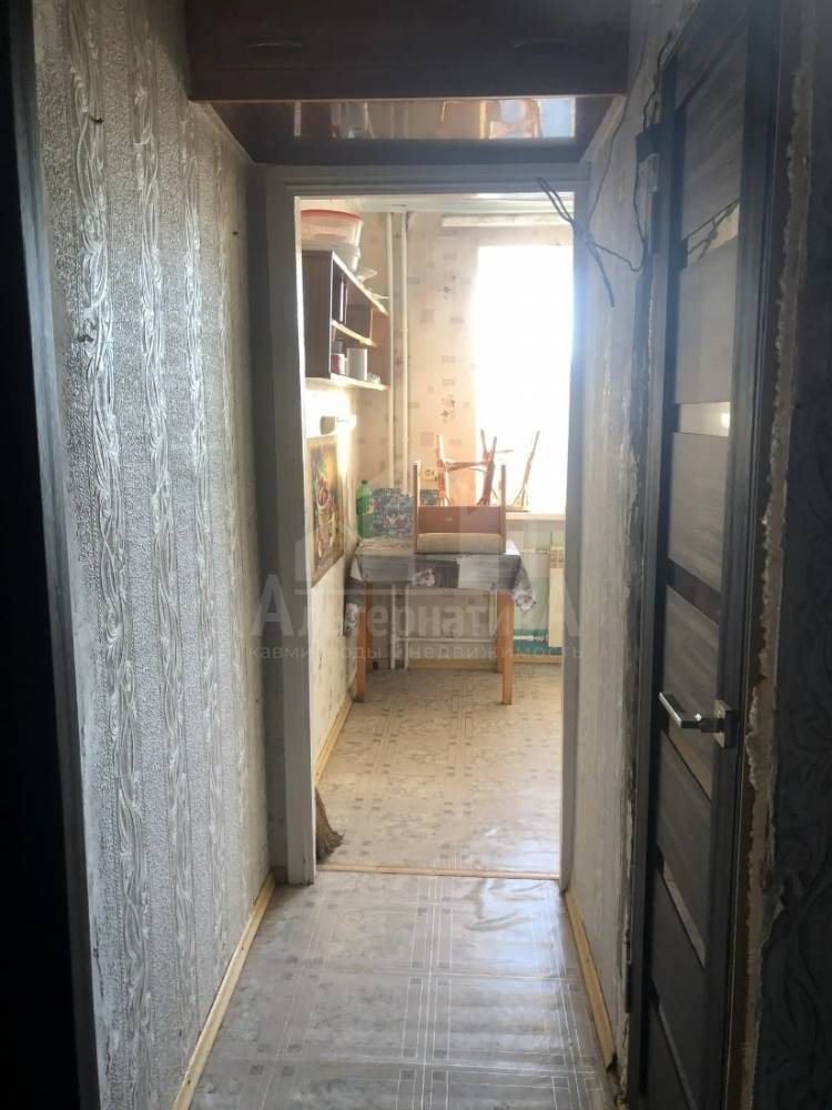 img_20260222_065053_114