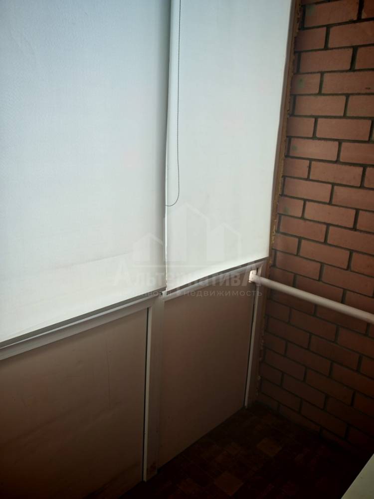 5251235425542673924_119