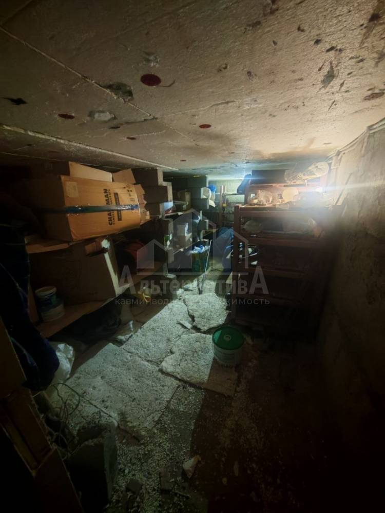 5251235425542673933_121