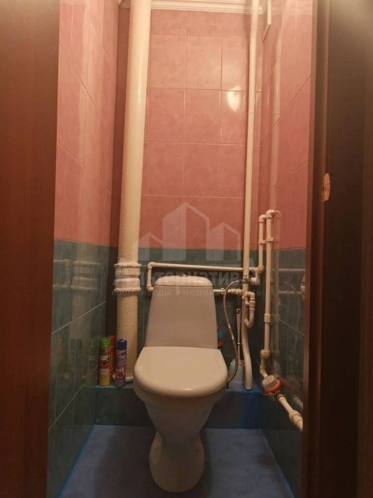 photo_5262931081051181933_y