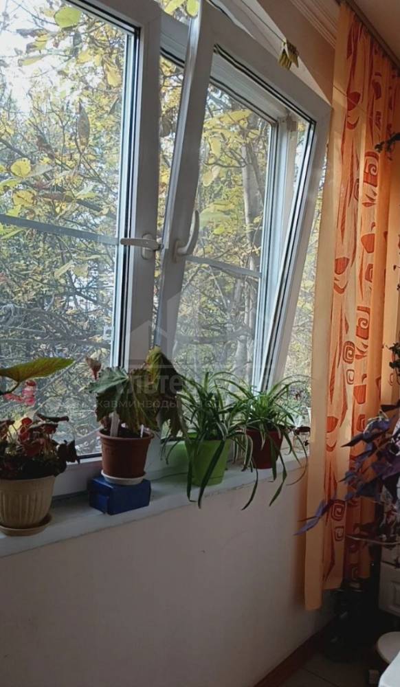 photo_5262931081051181932_y