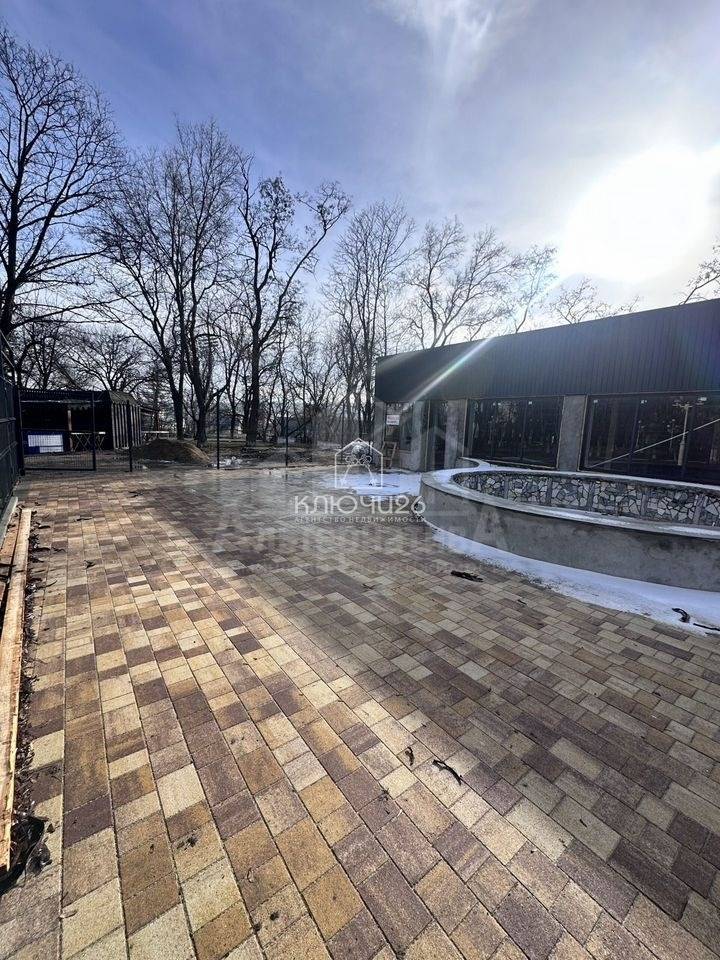 photo_5262748020955093643_y