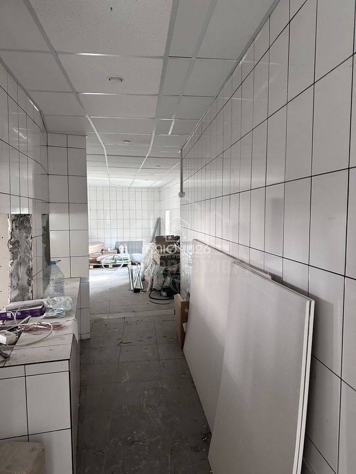 photo_5262748020955093648_y