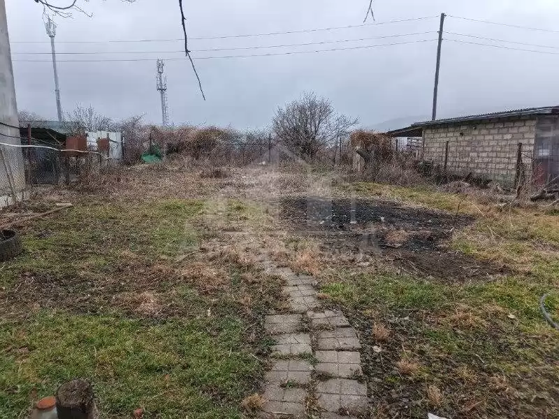 10 — копия