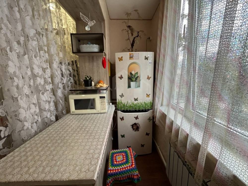 photo_5280756101567681486_y