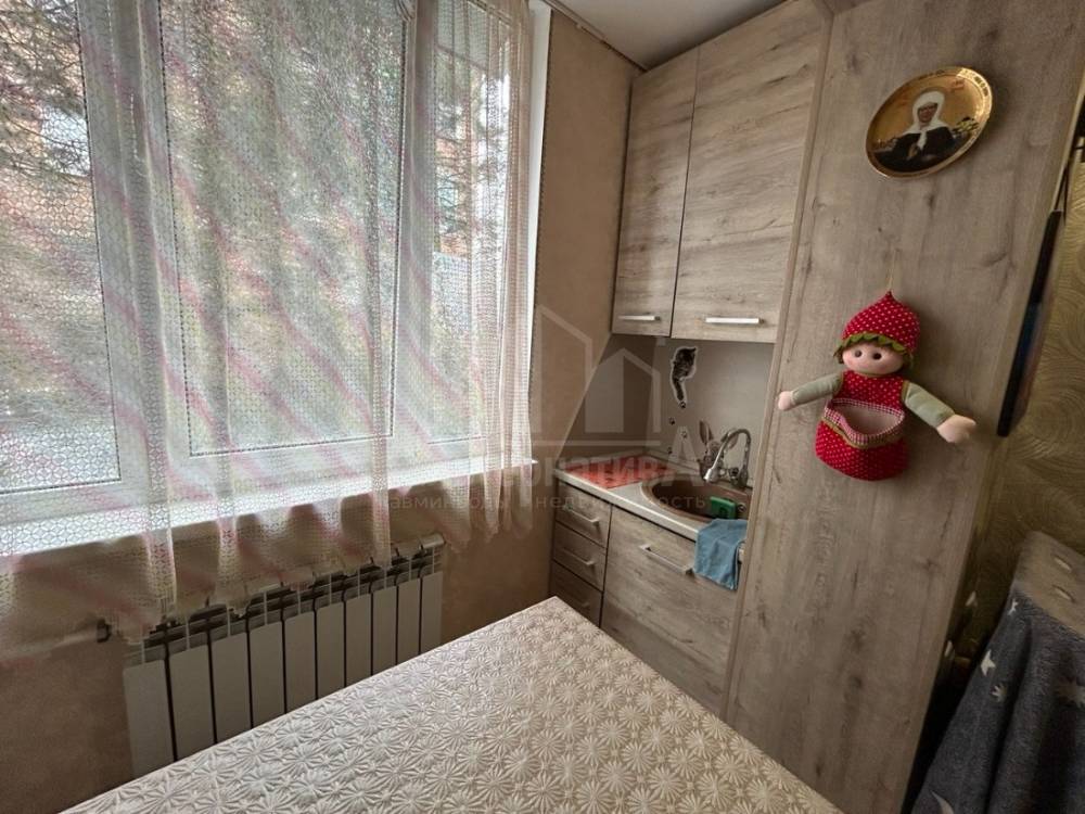 photo_5280756101567681487_y