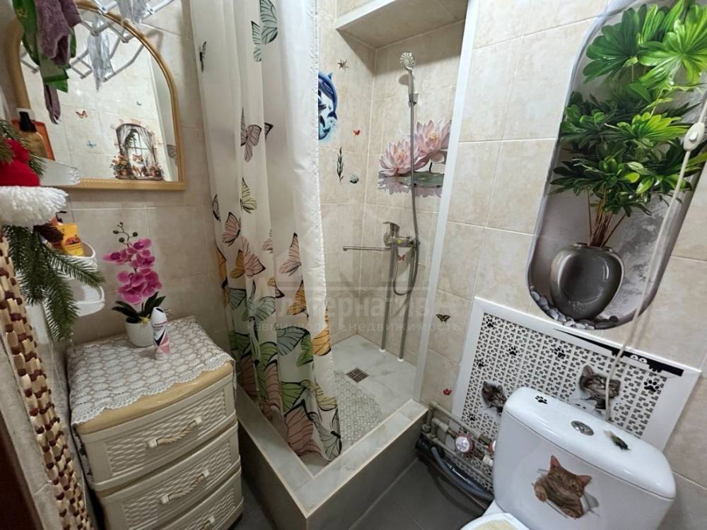 photo_5280756101567681481_y