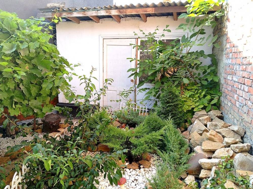 хоз.постройка