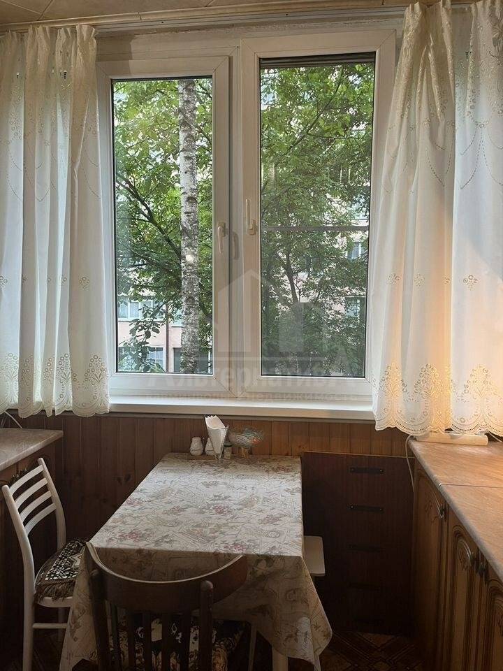 photo_5303197864035030784_y