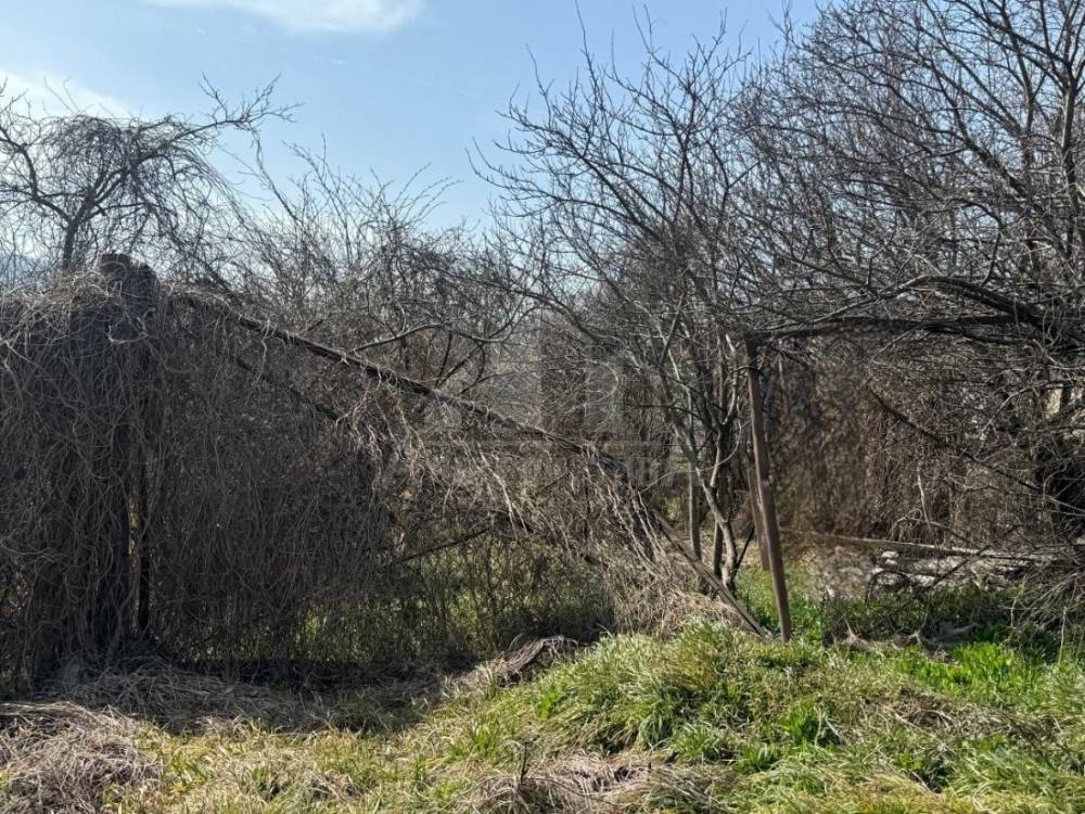 img_20260325_153753_878