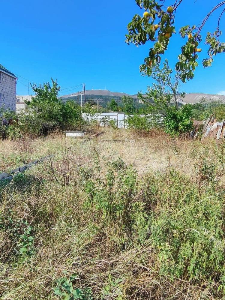 img_20260326_135913_120