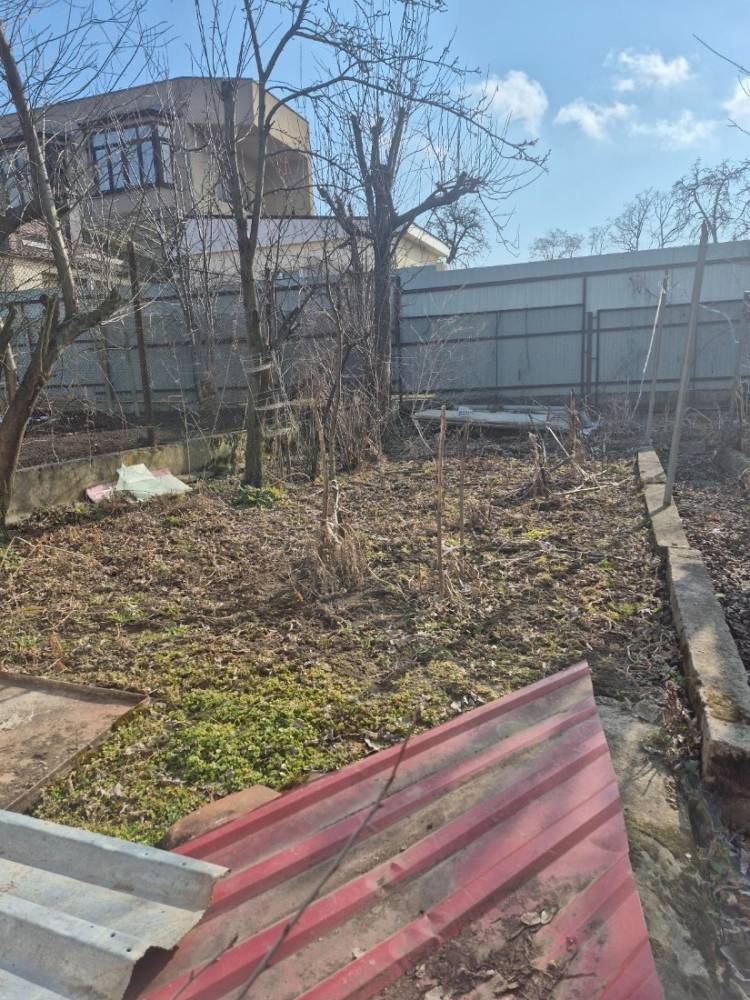 bip image 2026-03-14 pmt 16.47.47