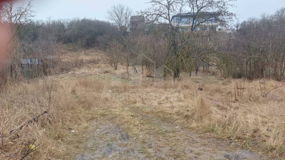 3dd1a0a7-dd91-489a-8d18-49264ec2cc50