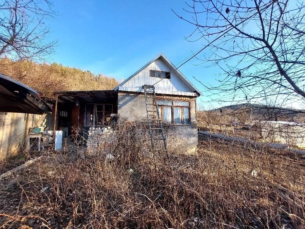 share-photo-8570562536