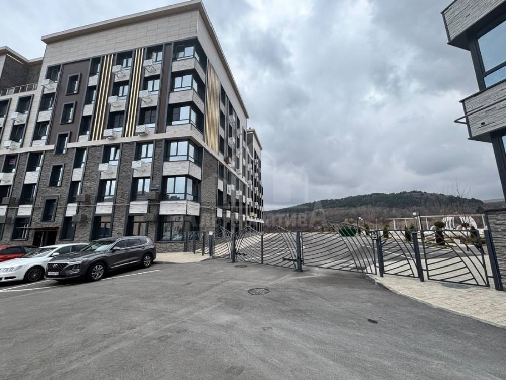 img_20260327_144643_915