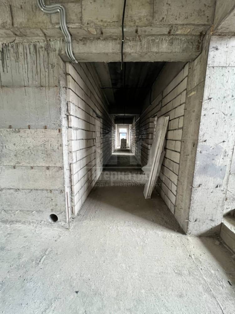 img_20260331_144919_926