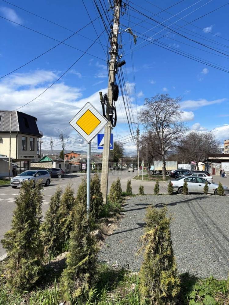 img_20260410_125456_412